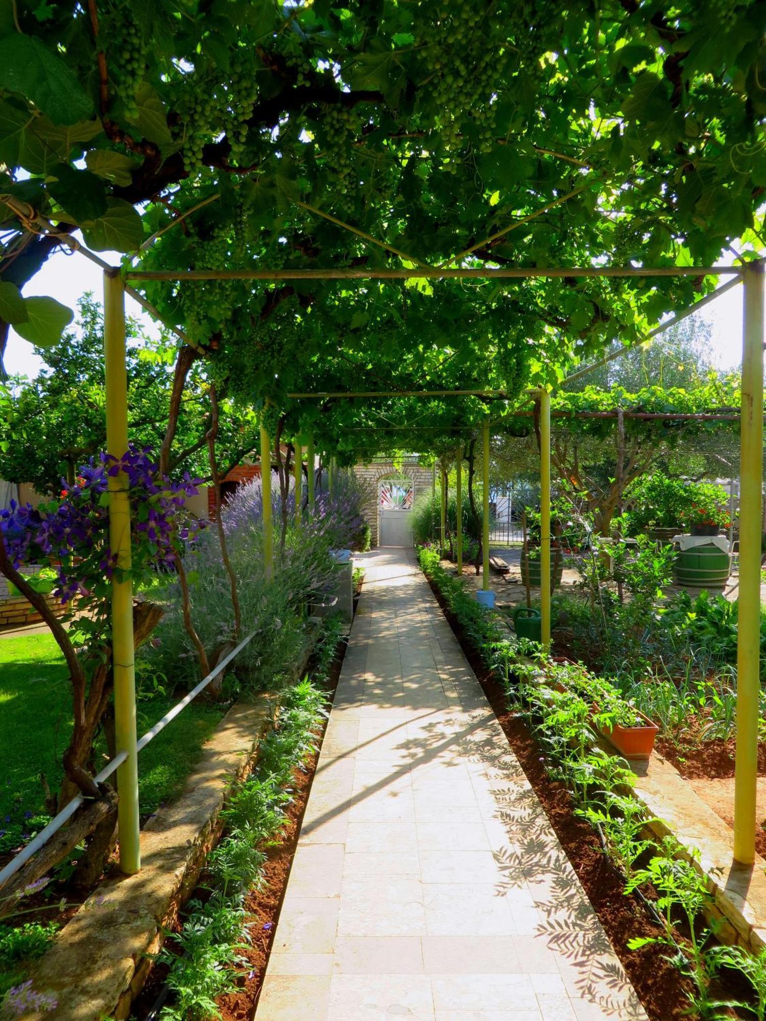 Beach Apartments Roza - The Garden Apartment Biograd Na Moru Ngoại thất bức ảnh